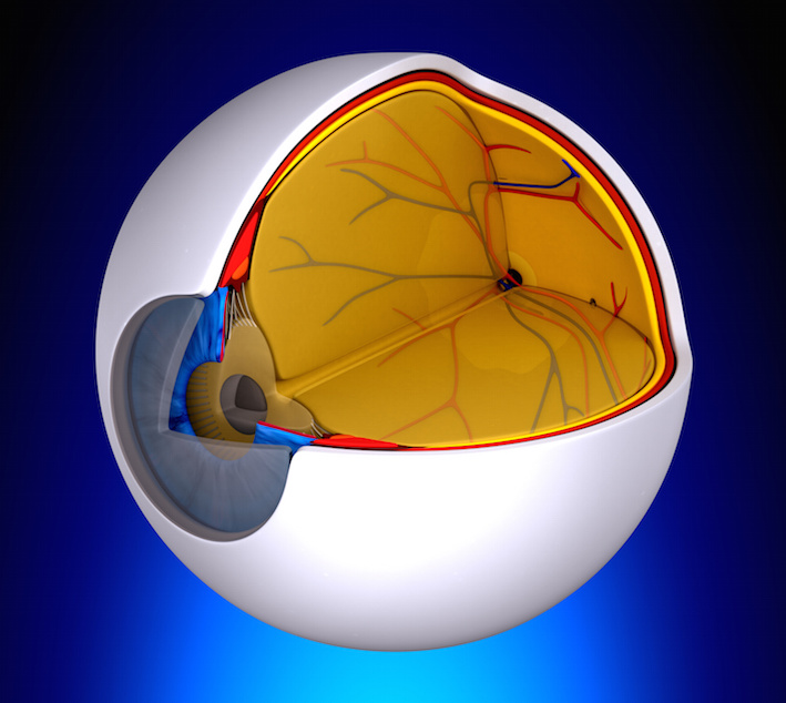 Occlusione della vena centrale della retina SapereSalute